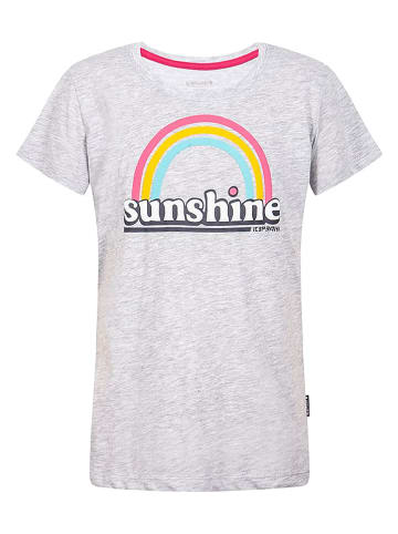 Icepeak Shirt "Miami" in Grau