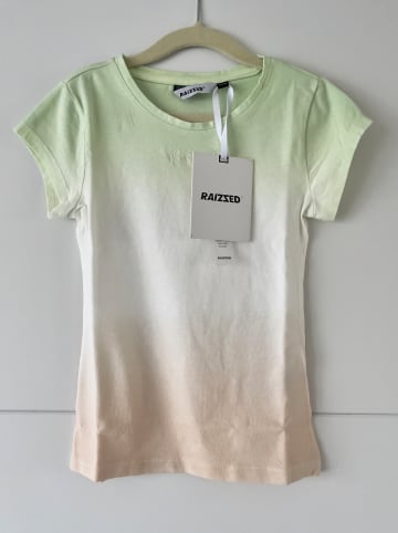 RAIZZED® Shirt "Nishio" in Grün