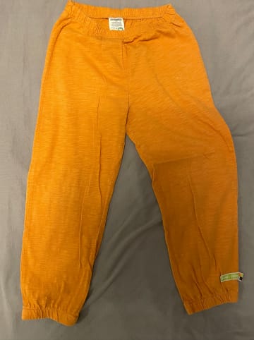 loud + proud Sweathose in Orange