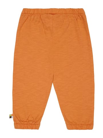 loud + proud Sweathose in Orange