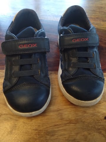 Geox Sneakers "Djrock" in Dunkelblau