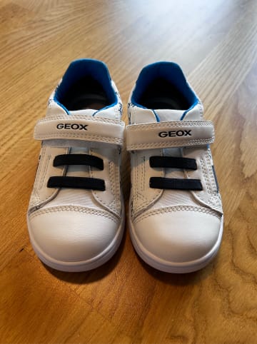 Geox Sneakers "Djrock" in Weiß