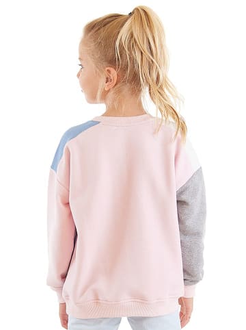 Denokids Sweatshirt "Kitty & Teddy" in Rosa
