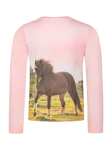Salt and Pepper Longsleeve in Rosa/ Bunt