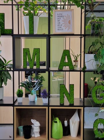 Little Miss Juliette testen, nicht kaufen