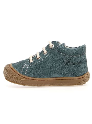 Naturino Leder-Lauflernschuhe "Cocoon" in Dunkeltürkis