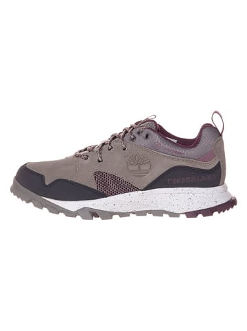 Timberland Leder-Wanderschuhe "Garrison Trail Low" in Grau/ Lila