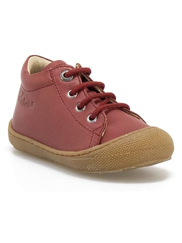 Naturino Leder-Sneakers "Cocoon" in Bordeaux