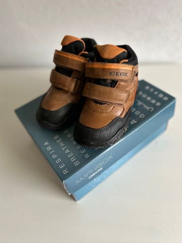 Geox Boots "Baltic" in Hellbraun/ Schwarz