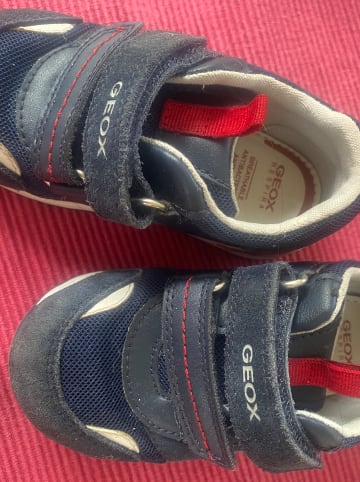 Geox Sneakers "Rishon" in Dunkelblau