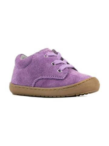 Richter Shoes Sneakers in Lila