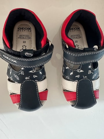 Geox Halbsandalen "Elthan" in Dunkelblau/ Rot