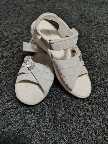 Primigi Sandalen in Grau