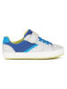Geox Sneakers "Gisli" in Blau/ Grau