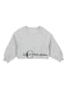 Calvin Klein Sweatshirt in Grau