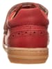 POM POM Leder-Sneakers in rostrot - NEU