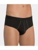 Sloggi 2er-Set: Slips in Schwarz