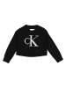 Calvin Klein Pullover in Schwarz