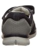 Primigi Sneakers in Dunkelblau/ Grau