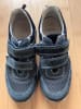 Primigi Sneakers in Blau/ Dunkelblau