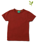 Little Green Radicals Shirt in Bordeaux