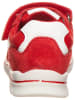 Primigi Leder-Sneakers in Rot