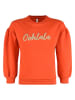 Blue Effect Sweatshirt in Rot