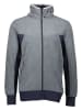 Icepeak Fleecejacke "Doland" in Grau