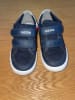 Geox Sneakers "Gisli" in Dunkelblau