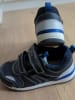 Geox Sneakers in Schwarz/ Blau