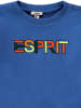 ESPRIT Sweatshirt in Blau