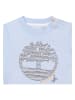 Timberland Shirt in Hellblau