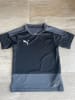 Puma Trainingsshirt "teamGOAL" in Schwarz