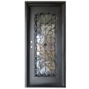 36" x 80" Granada Wrought Iron Entry Door Right Swing