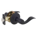 Delaney Hardware Logan Black Reversible Passage Door Handle