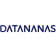 Datananas Logo