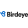 Birdeye Logo