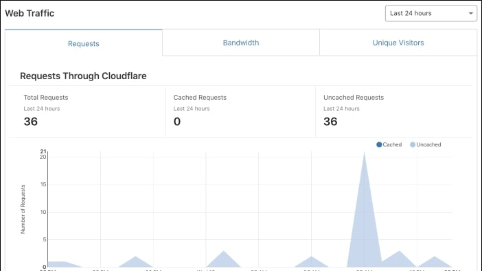 Cloudflare provides insights into website traffic patterns, helping users understand their audience's behavior