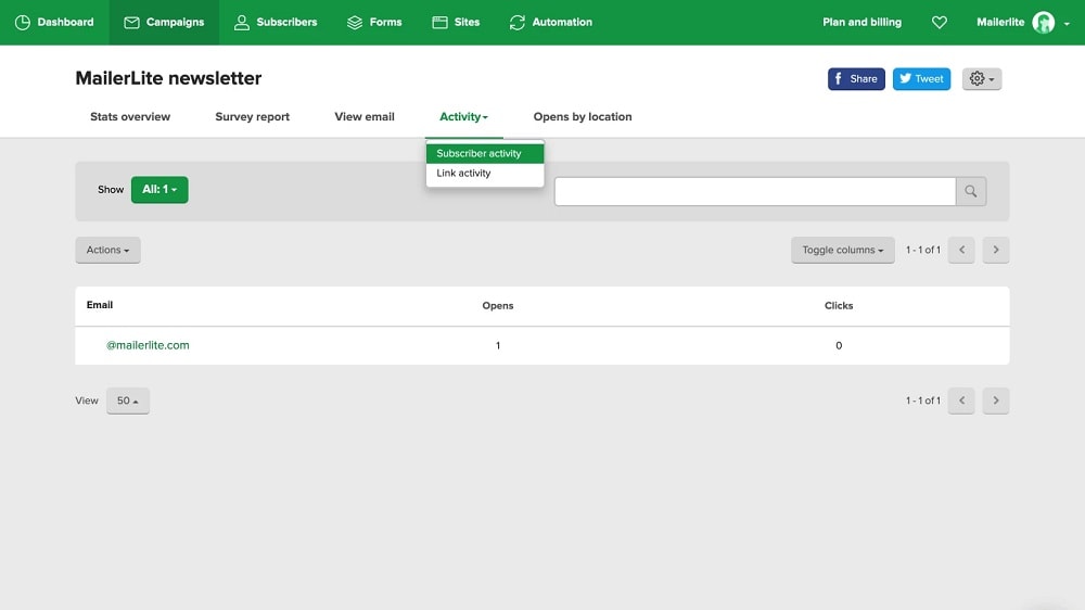 MailerLite users can track metrics such as conversion rates, revenue generated per campaign, and customer engagement, enabling them to make data-driven decisions for optimizing future campaigns.