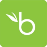 logo bamboohr