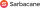 logo sarbacane