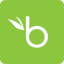 logo bamboohr