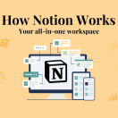 an overview of notion and how it works