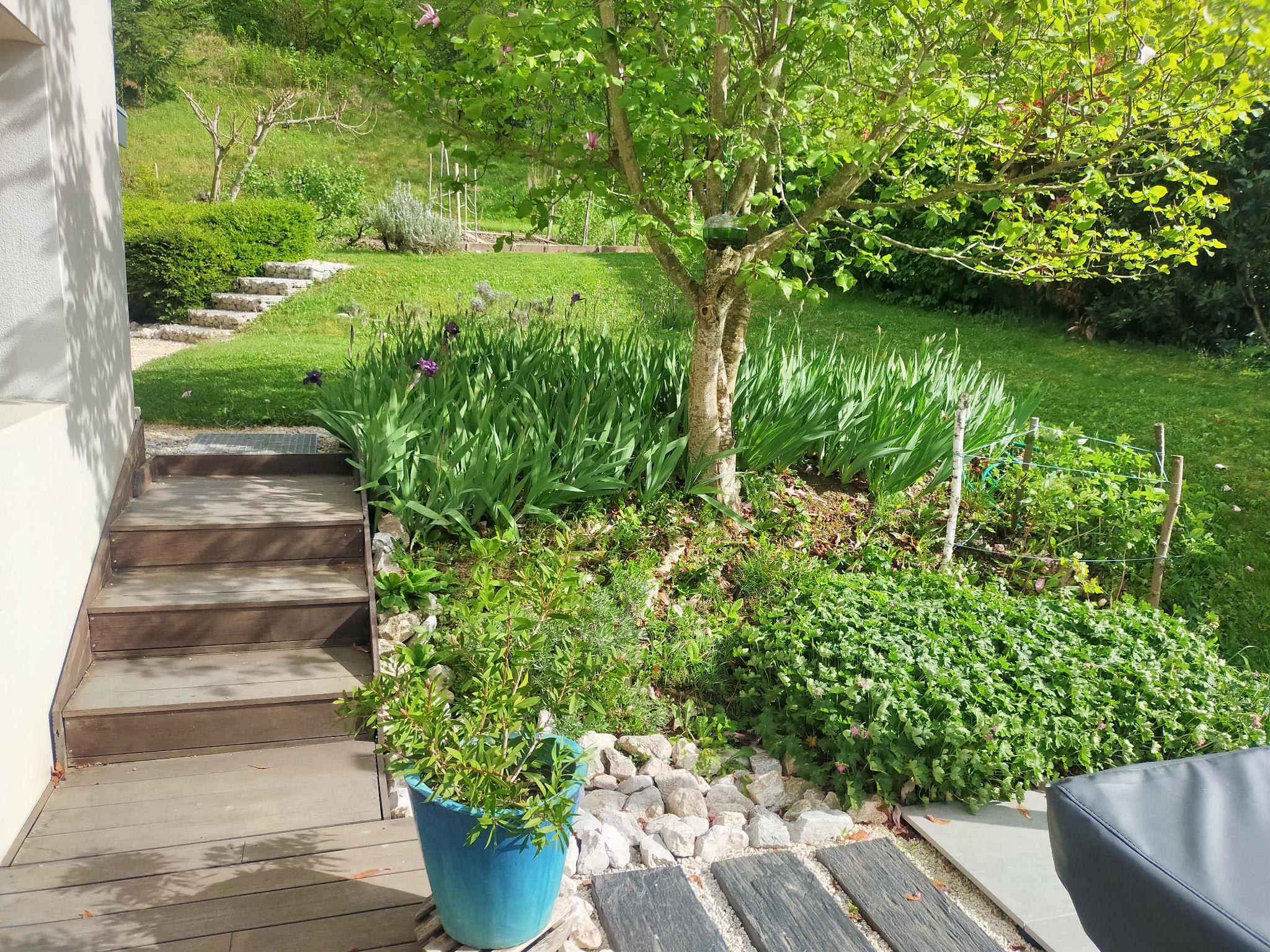 Aménagement en bois pour piscine