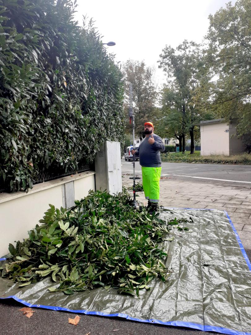 Notre engagement pour vos arbres et extérieurs