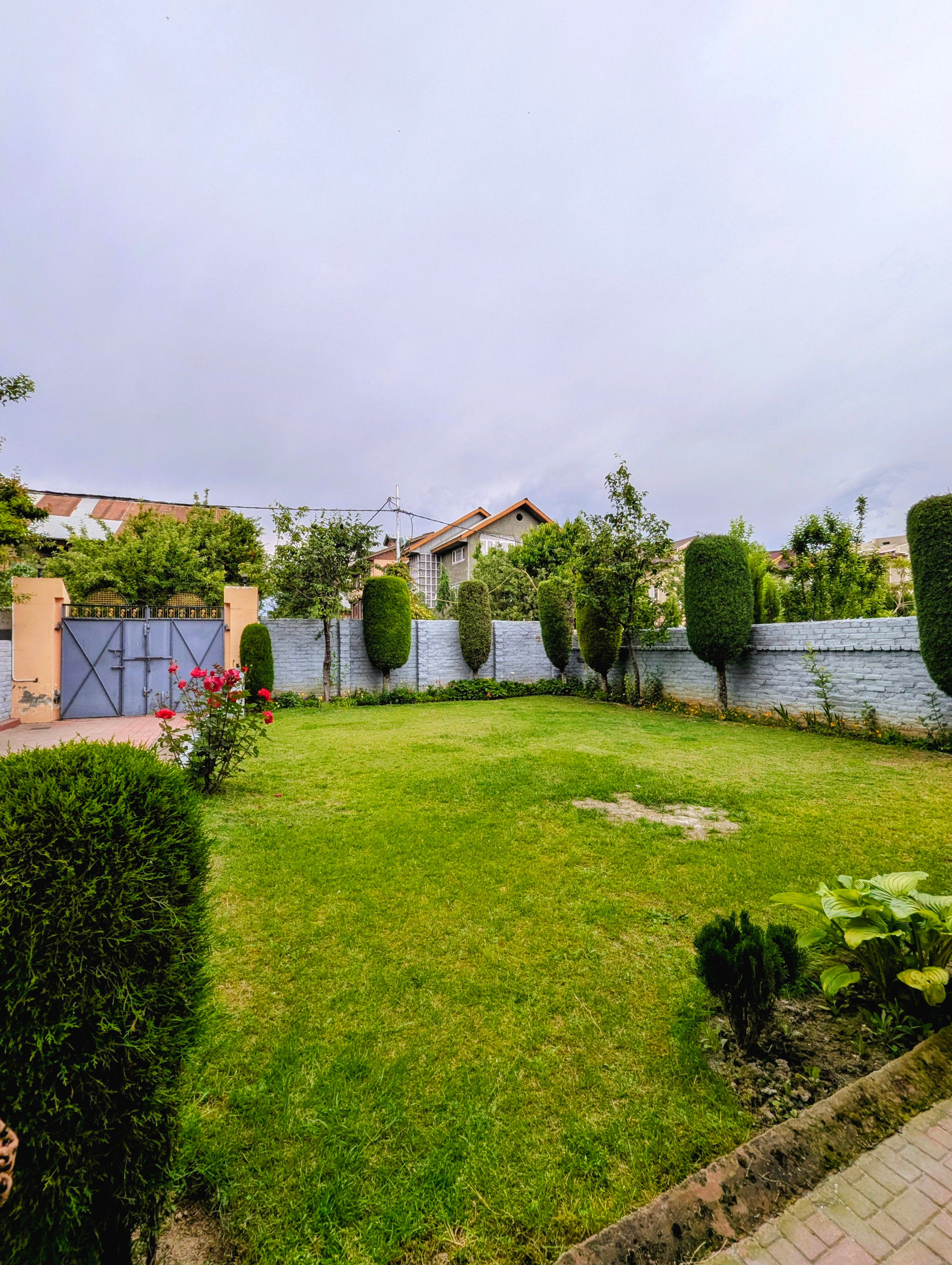 Jardin avec pelouse et haies