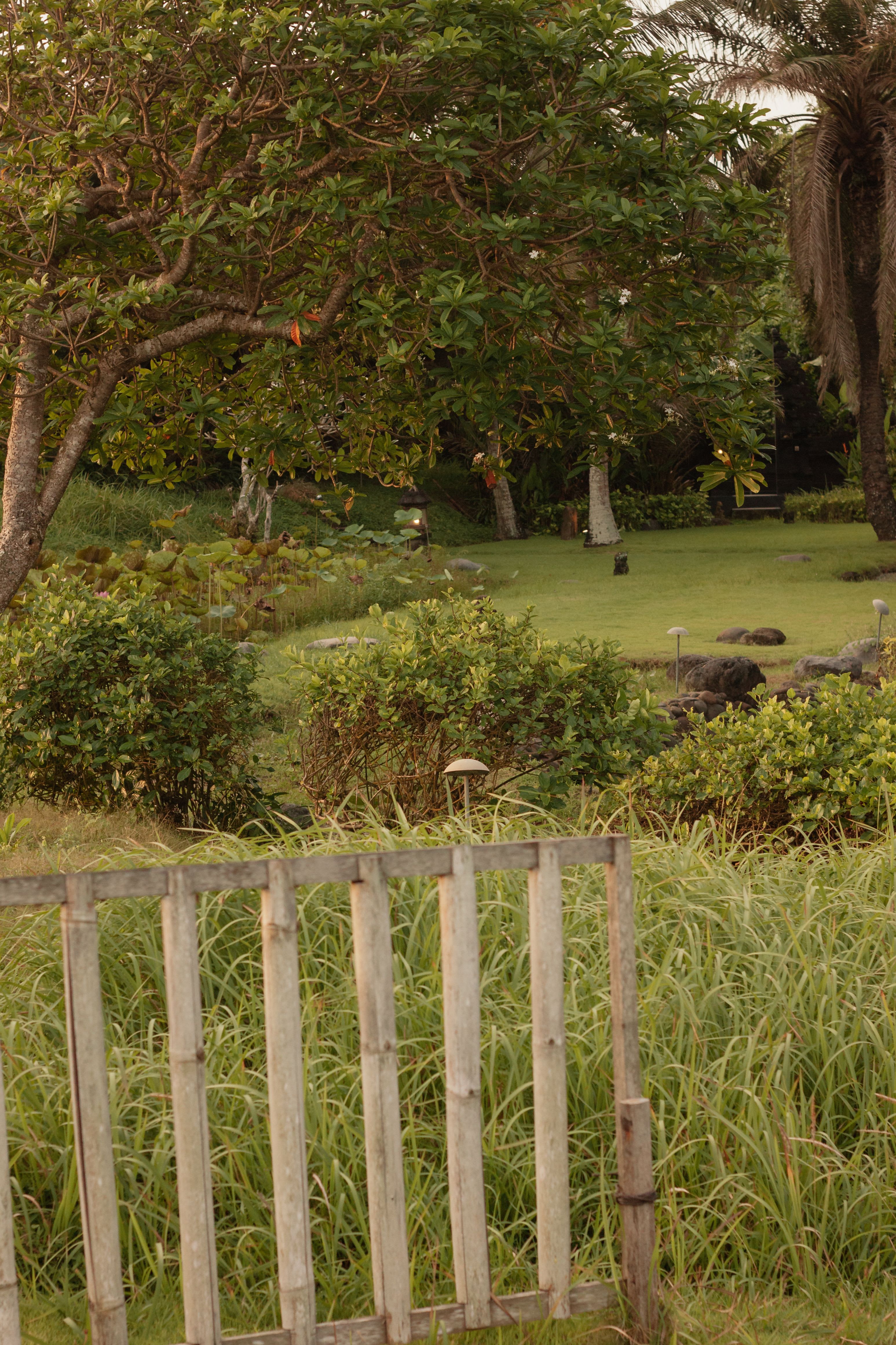 Clôture et jardin