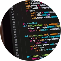 Web & Mobile App Development