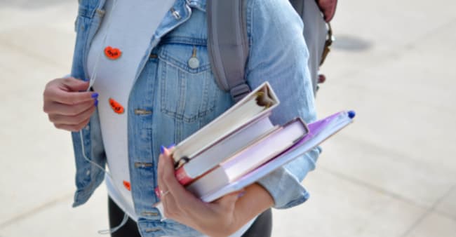 APL: Aide Personnalisée au logement