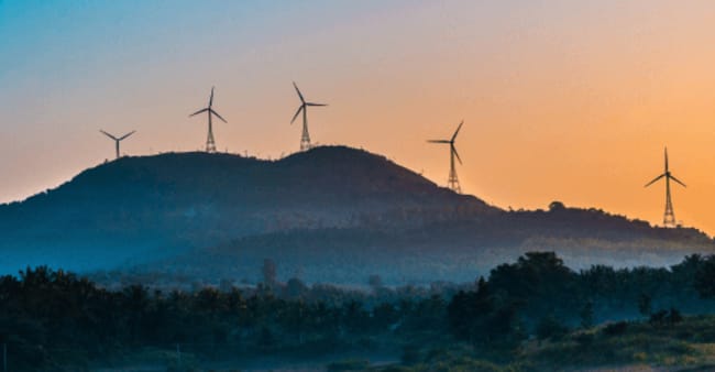 Les métiers de l'environnement